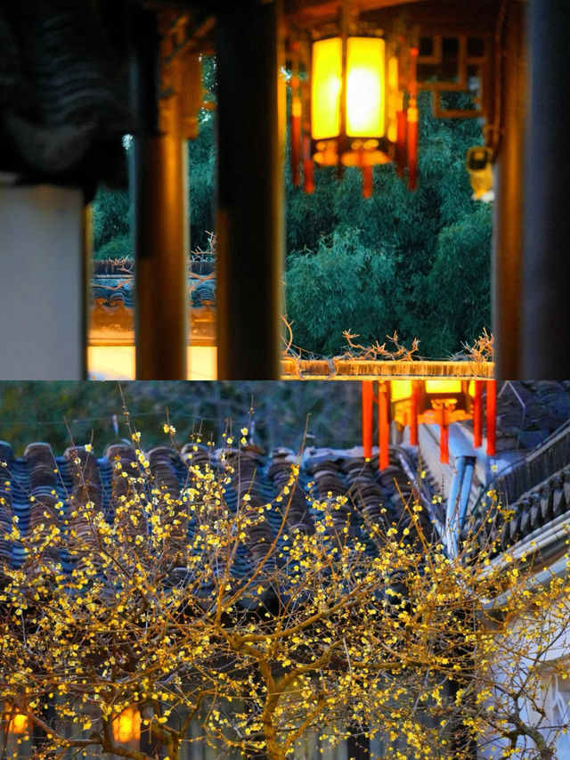 南京瞻園|中式旅行