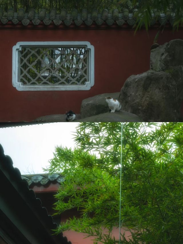 成都這座寶藏公園，已經美到下一個level 