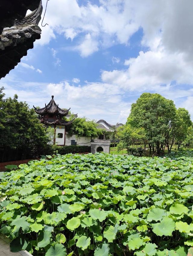 黃岡