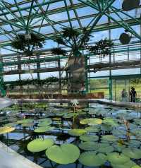 草津市立水生植物公園｜四季畫卷，水生花草繪就的自然詩篇