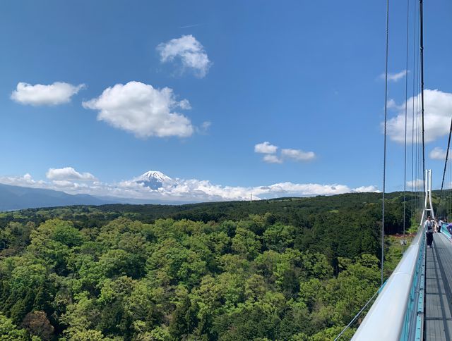 探秘三島天空步道｜解鎖雲端之上的神秘美景