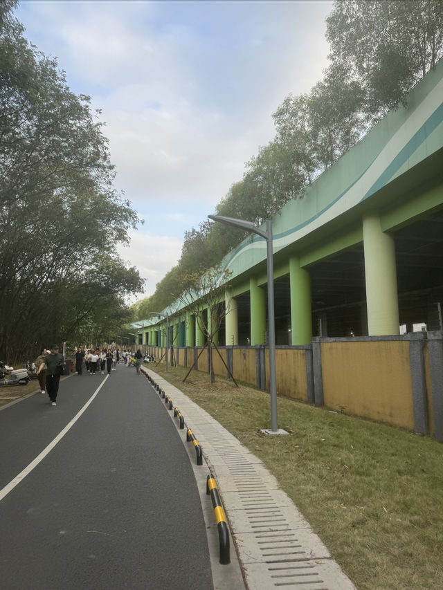 觀瀾湖綠道的心靈之旅