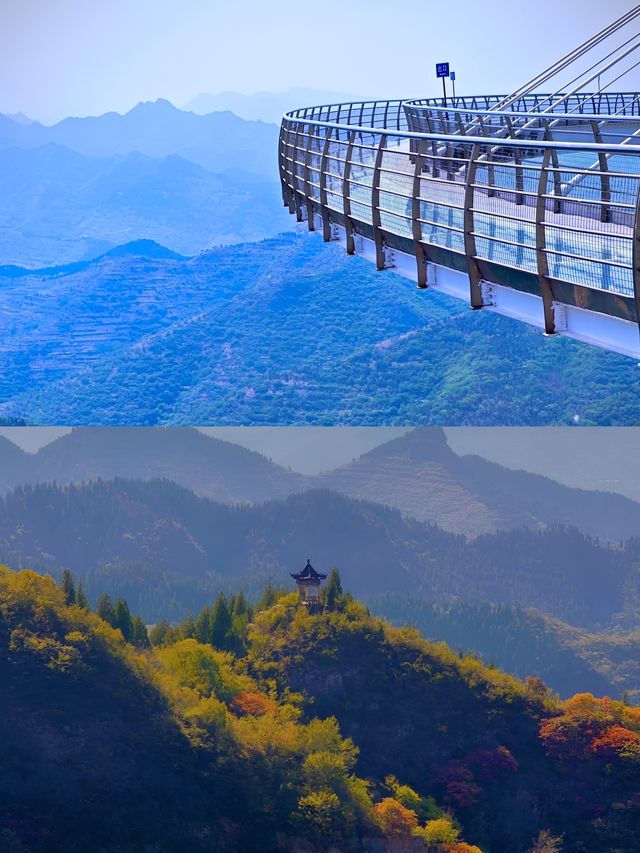 山東人的嘴真嚴呀，入秋的潭溪山真的太美啦。