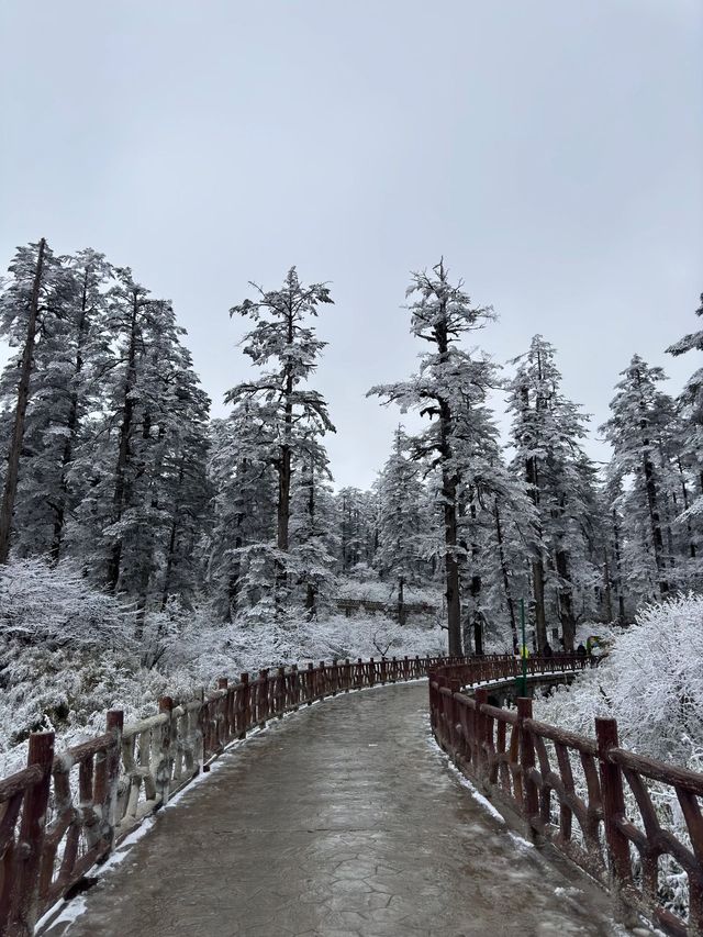南非12日遊 超詳細攻略帶你玩轉非洲