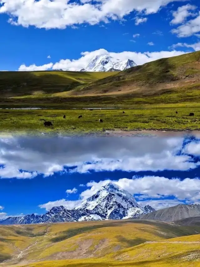 A Pilgrimage to the Potala Palace: Your Ultimate Guide