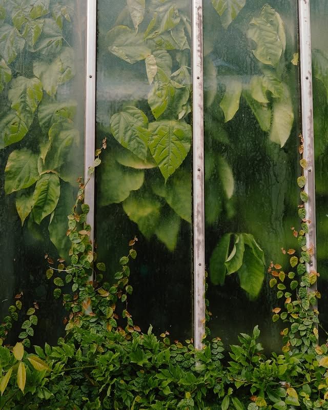 瑞典隆德植物園：在綠意盎然的自然中，放鬆心靈 