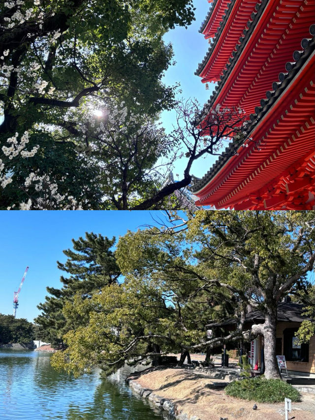 3月的櫻花去哪看？來這裡就夠了