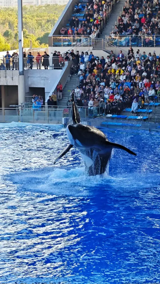 Lost in the Blue Fairy Tale World of Haichang Park