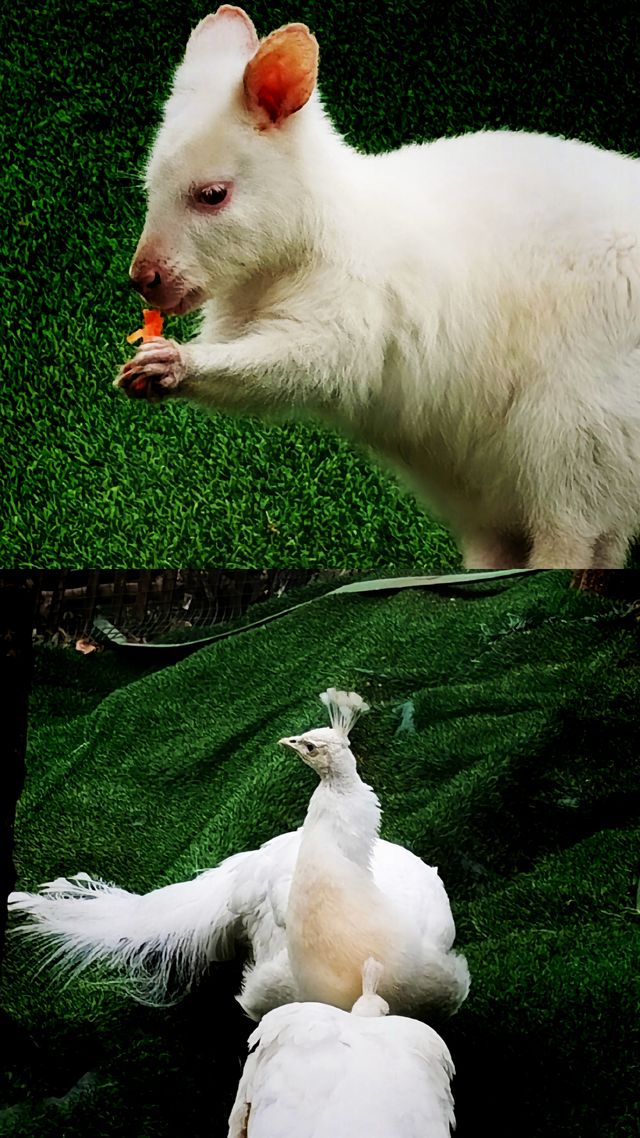 昆明小摩洛哥！！