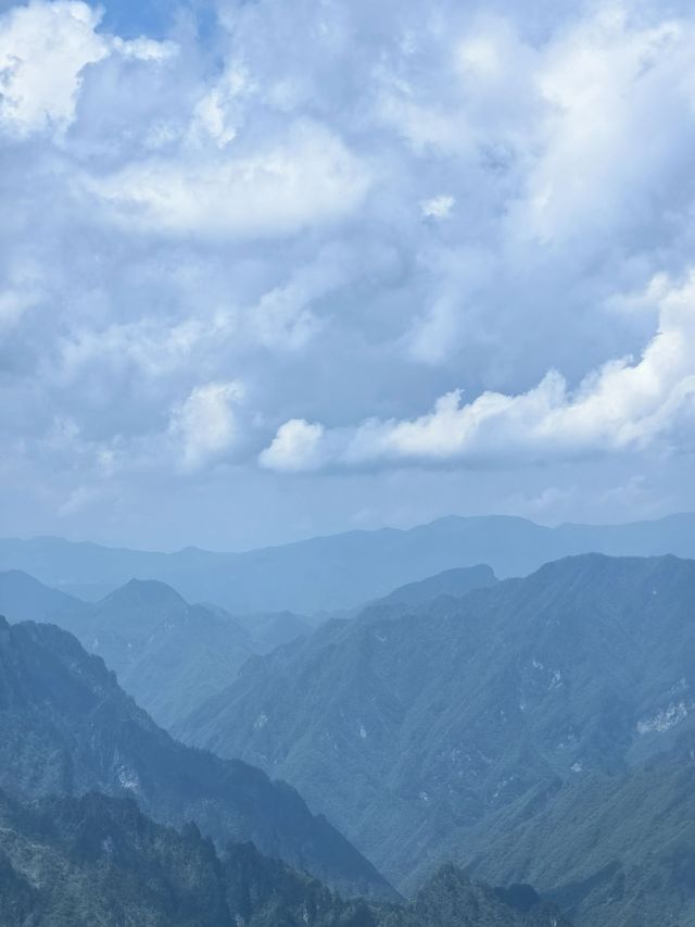 清明去神農架-宜昌看熊貓超詳細攻略來啦
