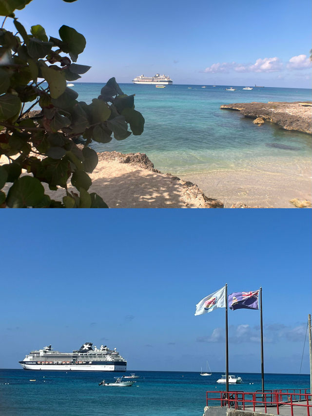 赴大開曼島，共赴繁花與碧海的浪漫之約