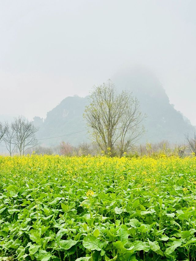 清明好時節 雲南昆明-彌勒溫泉之旅等你來體驗