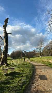 英國旅遊｜自然是藝術品 Yorkshire雕塑公園