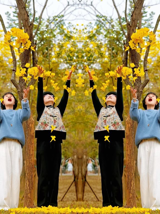 花綻乾坤•開啟一場震撼心靈的視覺盛宴！