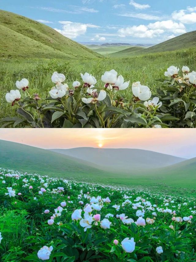 這條路線有洗滌心靈的草原風光和遊牧文化！