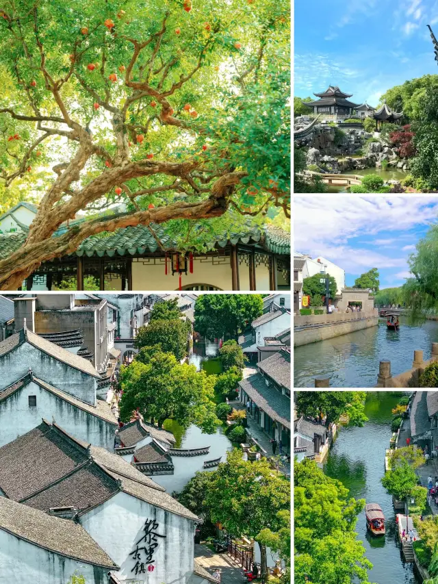 蘇州玩了4天，我的消費觀崩塌了！保姆級避雷攻略