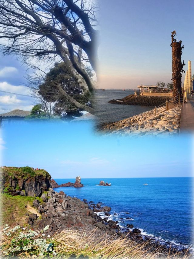 莞島綺夢行 | 韓國海濱的悠然之章