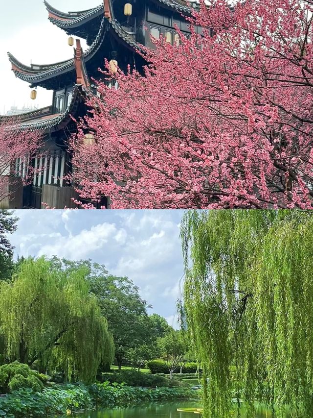 今日推薦景點