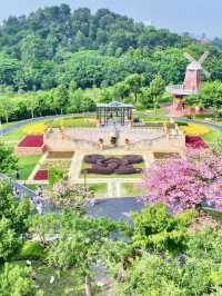 東莞植物園 帶你認識從未見過的各種各樣植物新生命