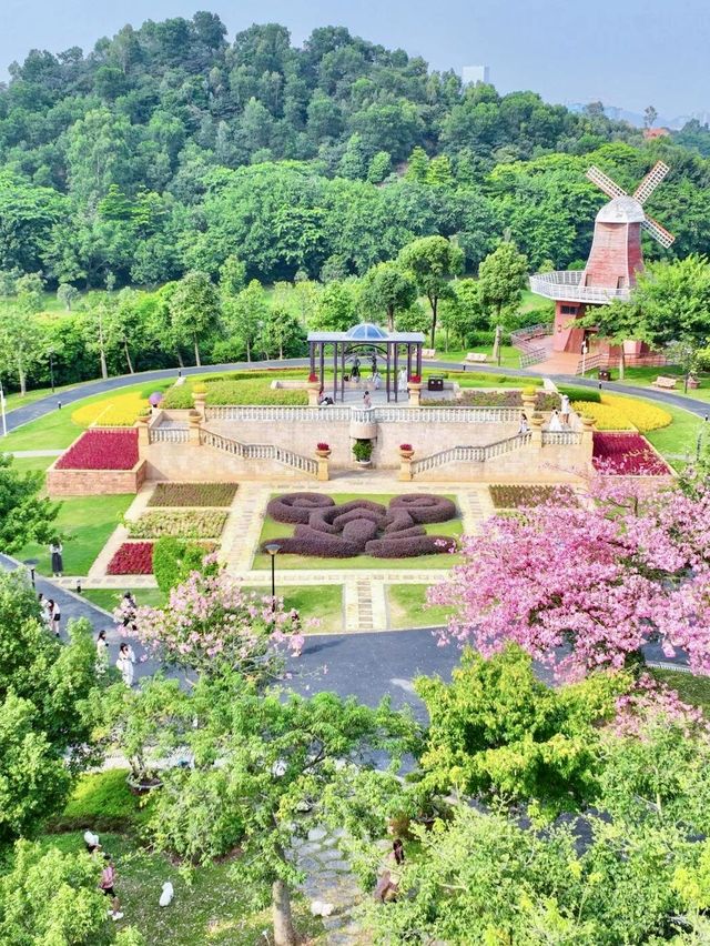 東莞植物園 帶你認識從未見過的各種各樣植物新生命