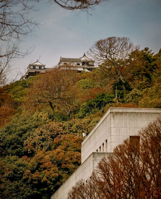 去日本松山！揭開《千與千尋》湯屋原型地的神秘面紗