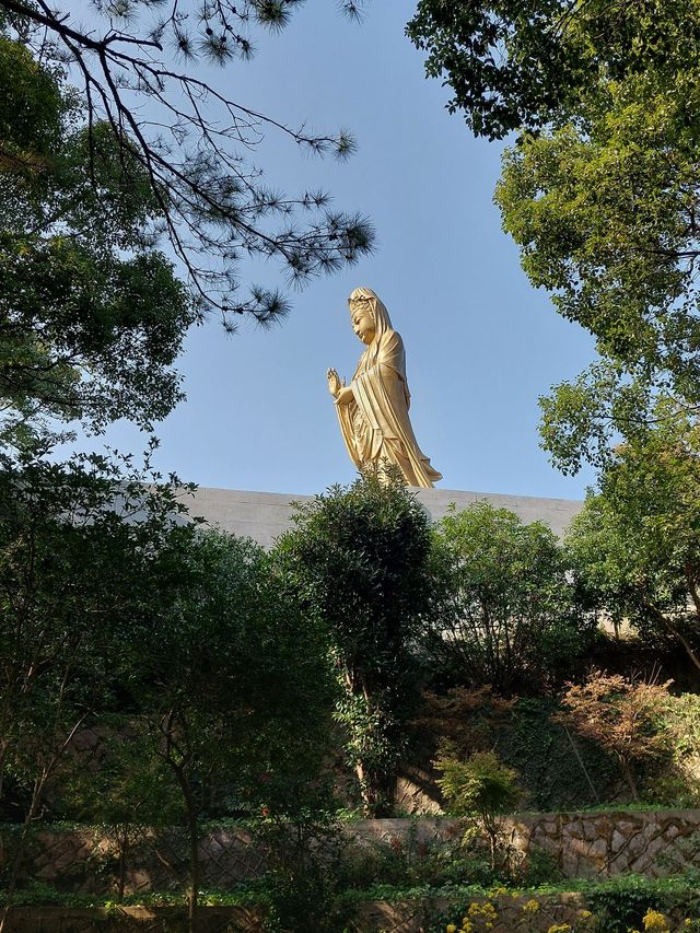 小長假來襲舟山2日遊全攻略速覽