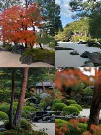日本庭園的天花板｜足立美術館