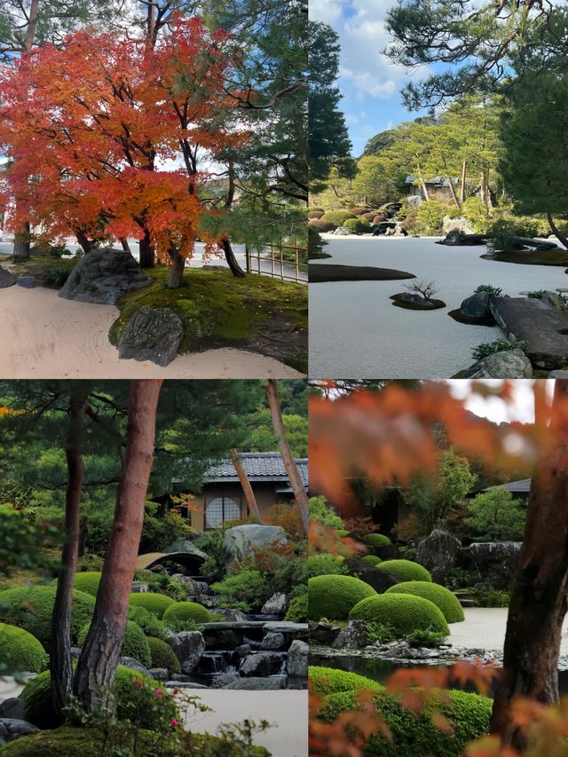 日本庭園的天花板｜足立美術館