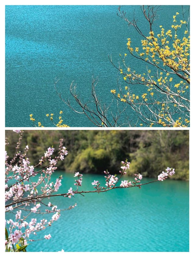 光明寺水庫的春天