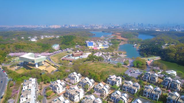 四方當代美術館的櫻花真的美爆啦～附攻略