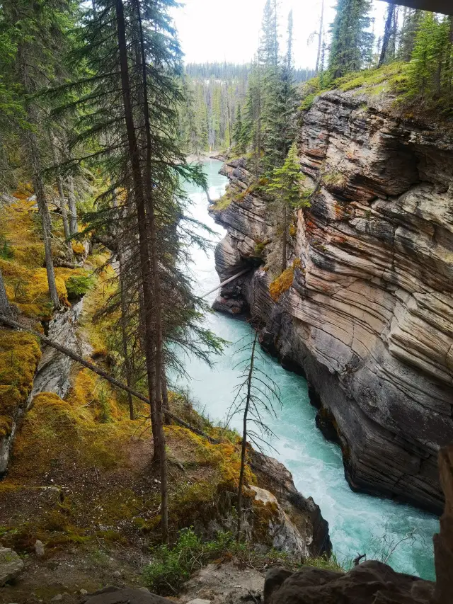 清明節にぴったりのカナダ5日間旅行攻略