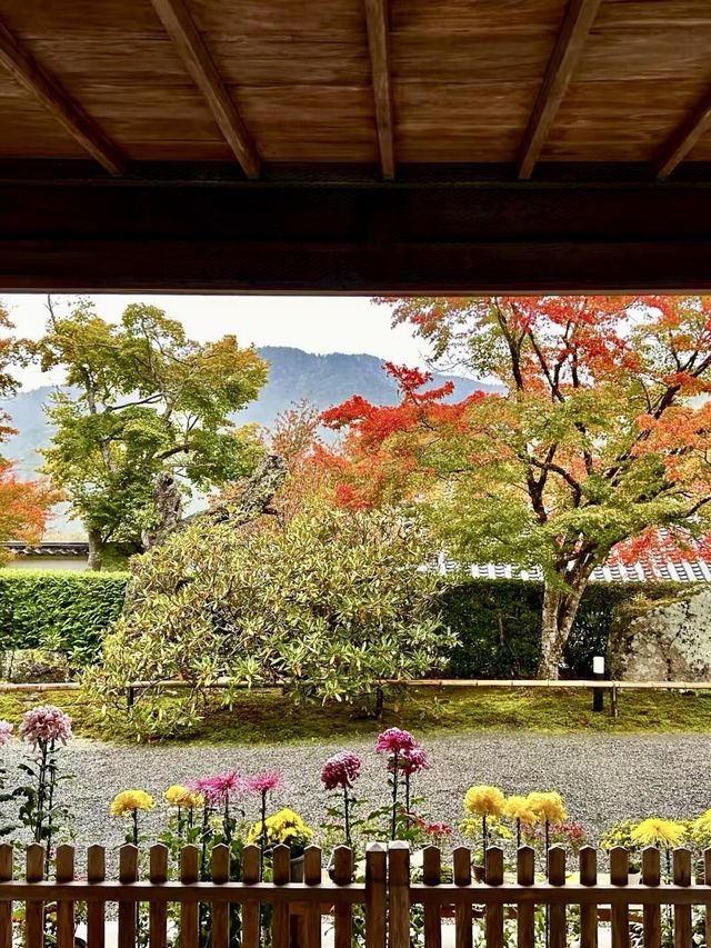 悠遠的禪意之境