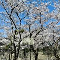 📍新山公園 | 體驗在地生活的寶藏角落