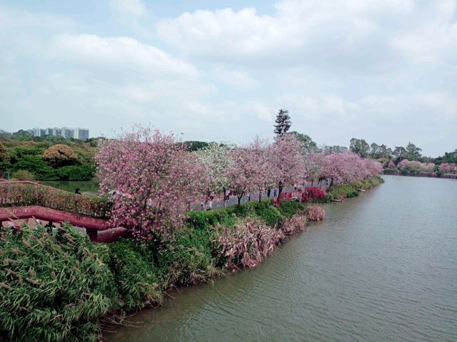 Shipai Park: Blooming as A Bomb of Colours in Dongguan