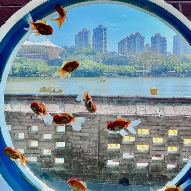 珠海必看！圓明新園下一個免費爆火打卡點‼️