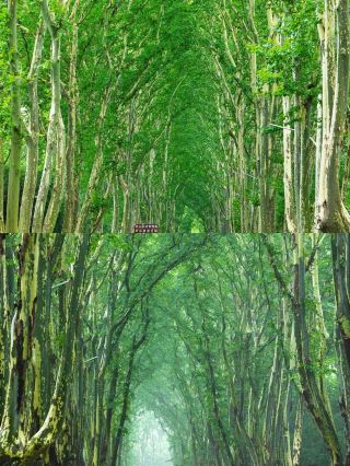 I can praise Nanjing ten thousand times, but it's not as good as seeing it for yourself.