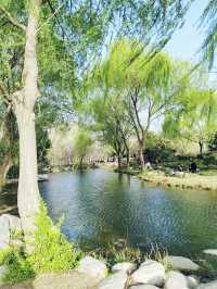 鄭州｜植物園｜中原綠意秘境與自然奇觀