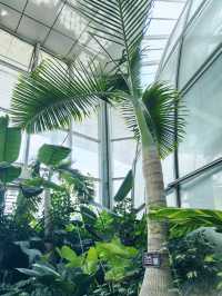 鄭州｜植物園｜中原綠意秘境與自然奇觀