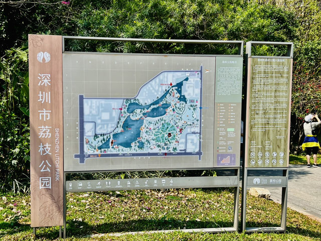 深圳原來有個荔枝公園？