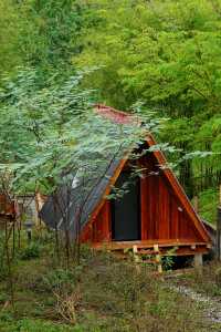 老撾｜琅多山腳下寧靜的小木屋