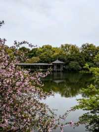 烏龜潭遊記