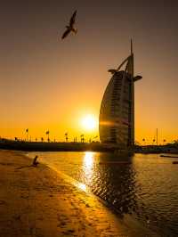 8 Unmissable Dubai Experiences for Your Bucket List 🌴