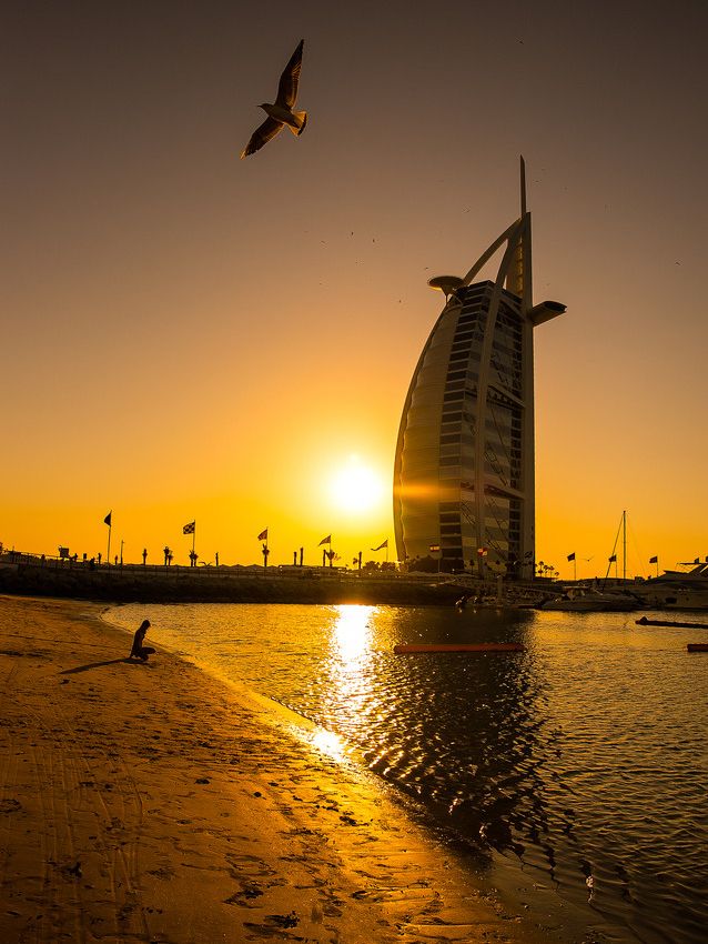 8 Unmissable Dubai Experiences for Your Bucket List 🌴