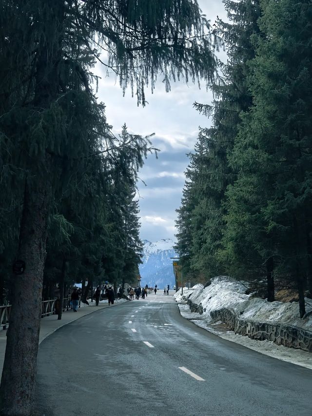 天使後院