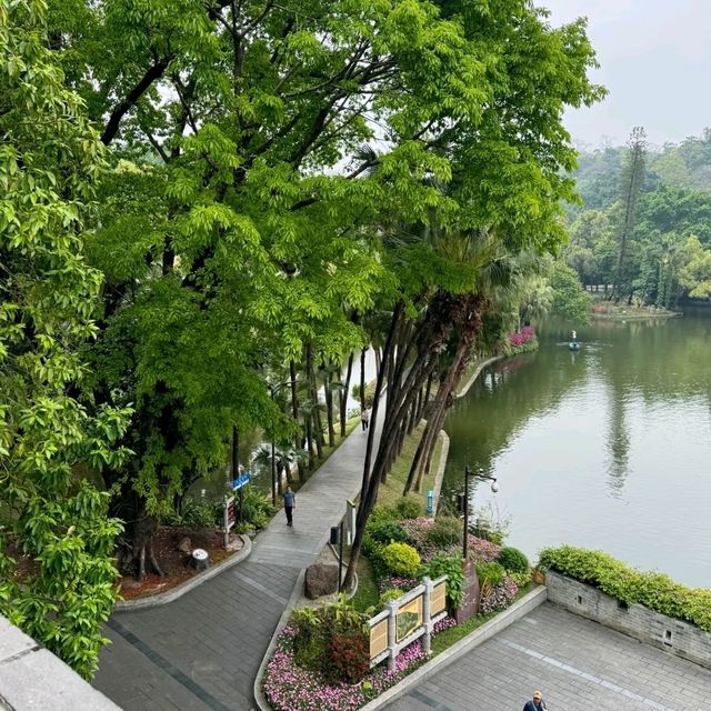 為這扇窗，我特意奔赴廣州越秀公園！