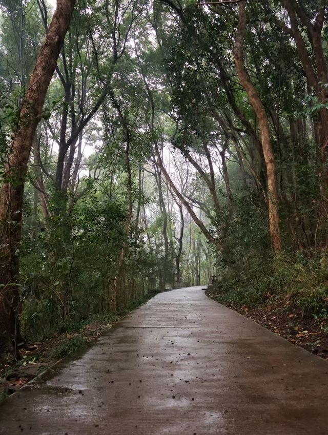 蕪湖嗚呼……快去這座魔幻的三線城市