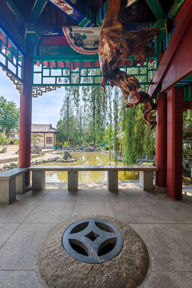 泰山腳下廣生泉公園木香花盛開