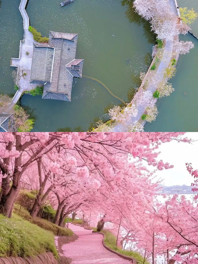 估唔到無錫都有咁靚嘅風景