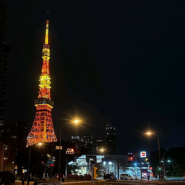  🇯🇵關東漫遊筆記｜漫步東京，邂逅古今交織的浪漫✨