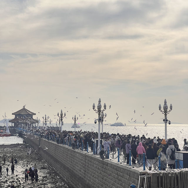 Seagulls and Sunset at Zhanqiao Pier 🧡 
